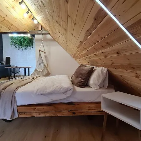 Casa Chiper - Attic With View Brasov